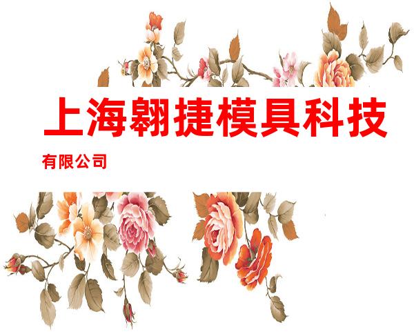 上海翱捷模具科技有限公司